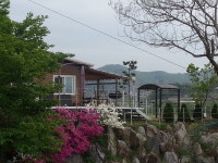 강변의하루