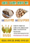 바이오씨앗협동조합