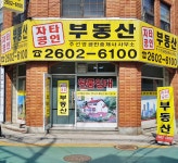 자타공인중개사사무소