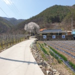 가마솥산장가든 닭백숙