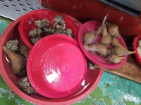 제일수산35번중매인