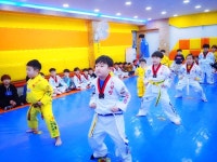 연세대석사태권짱