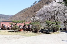 가마솥산장가든 닭백숙