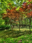 8단지주공부동산공인중개사사무소