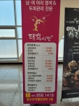 태후사랑