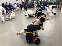 주짓수 킥복싱 MMA 차정환짐