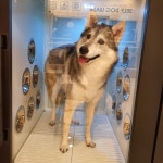 올리스24 창원성산점