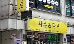사주&타로