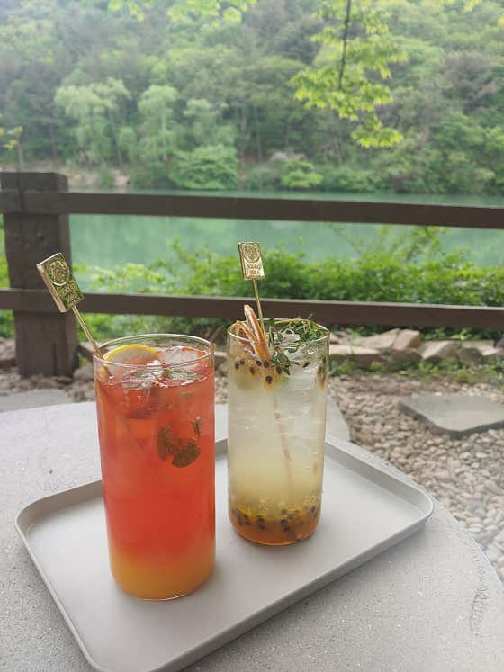 엔학고레 사진