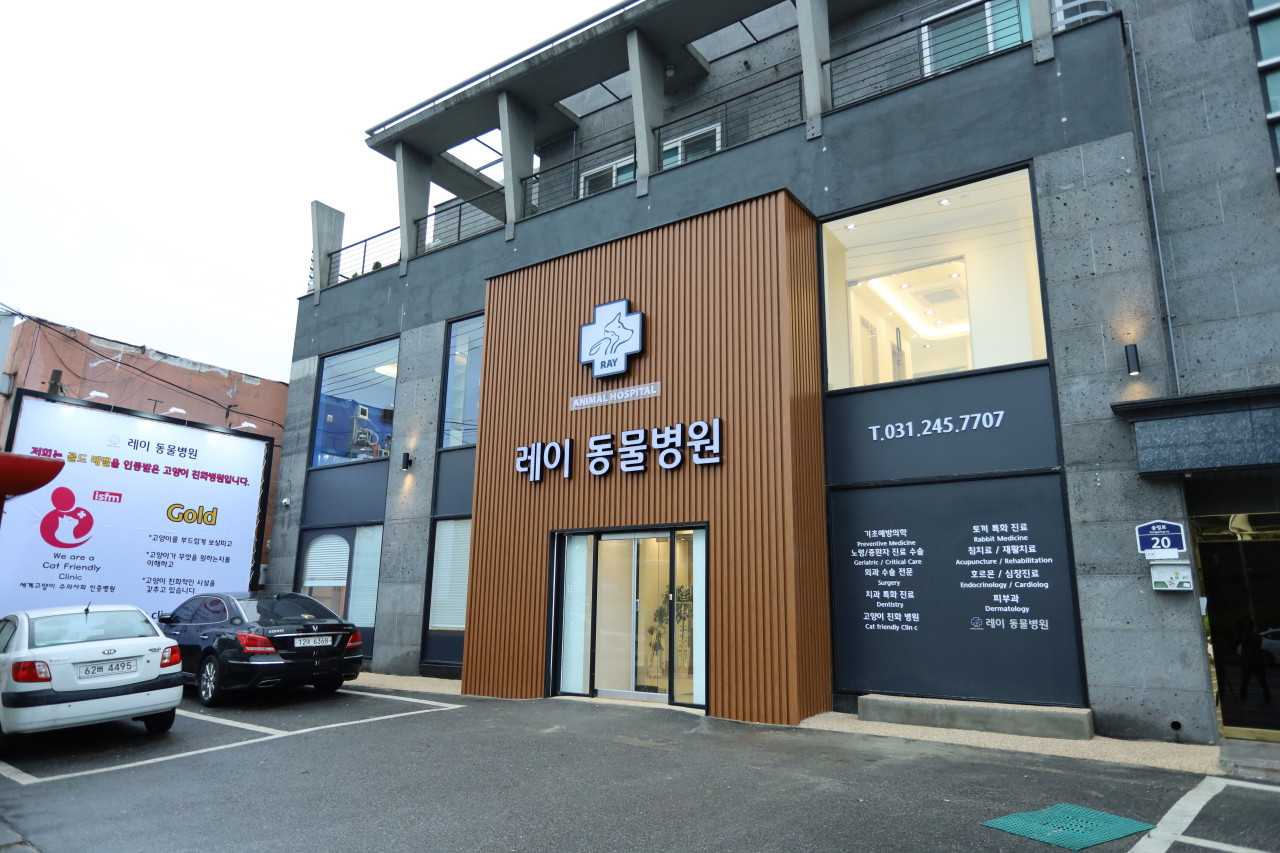 레이동물병원