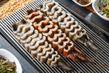 강나루풍천장어