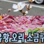 오리야