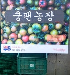 쿵팬토마토농장