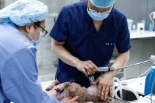 고려동물메디컬센터