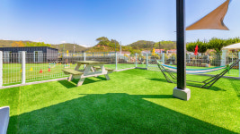 퍼피21애견펜션