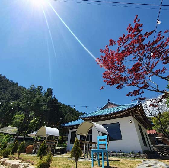광덕 별아래 사진