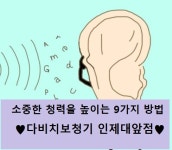 다비치안경 인제대앞점
