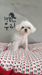 개토피아