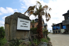 젠틀리조트 카페