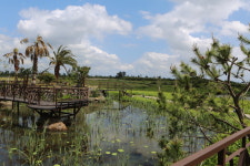 젠틀리조트 카페