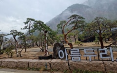 아름두리조경