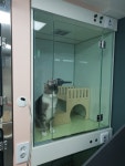 청북햇살동물병원