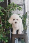 트레밍MM