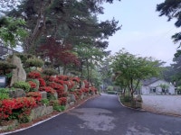 명봉산솔밭관광농원오토캠핑장