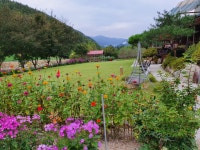 무주더플라워펜션