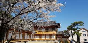 천년한옥펜션