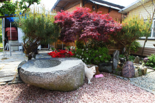 바다꽃향힐링펜션