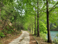 국망봉 자연휴양림