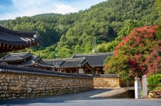 고려동협동조합
