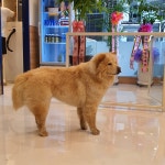 올리스24 창원성산점