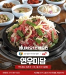 연우미담