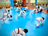 경희대석사무학태권도