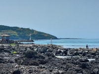 월정항아리 갈치