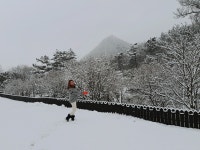 네스트홍천펜션