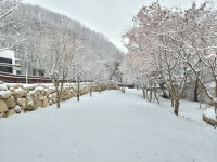 네스트홍천펜션