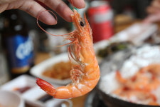 해물명가 구룡포