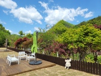 네스트홍천펜션