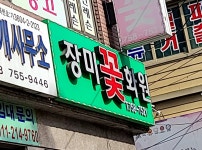 장미꽃화원