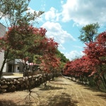 네스트홍천펜션