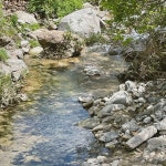 네스트홍천펜션