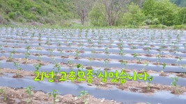 배뭇골  순이네농장
