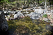 강당골 밤나무계곡 민박