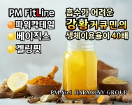 독일피엠 핏나인 갈마점