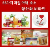 독일피엠 핏나인 갈마점