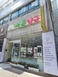 사월 봄 약국
