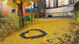 프렌즈아카데미 라온점